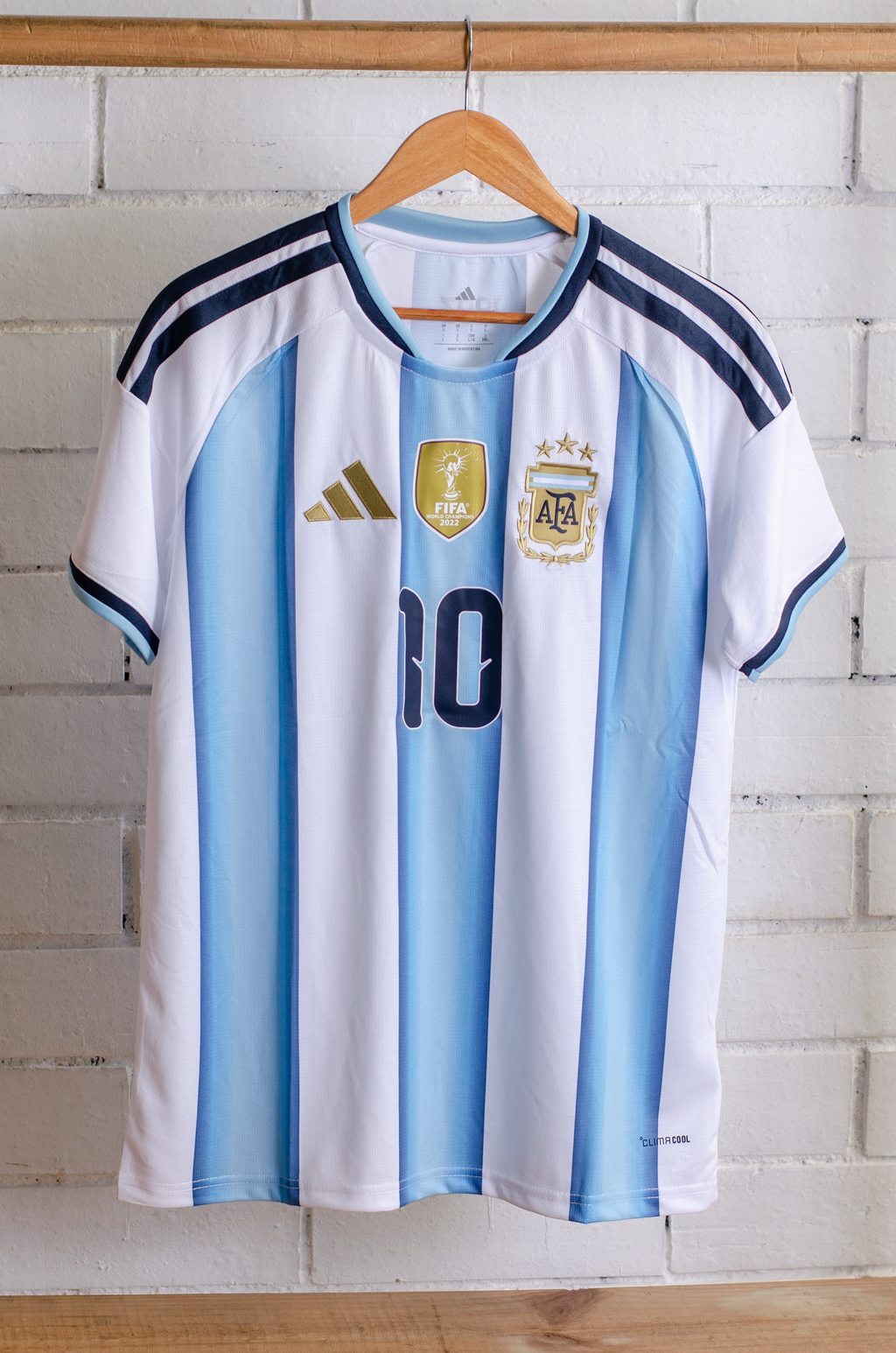 Camisa Argentina Local 2026 Versión Fan Messi 10