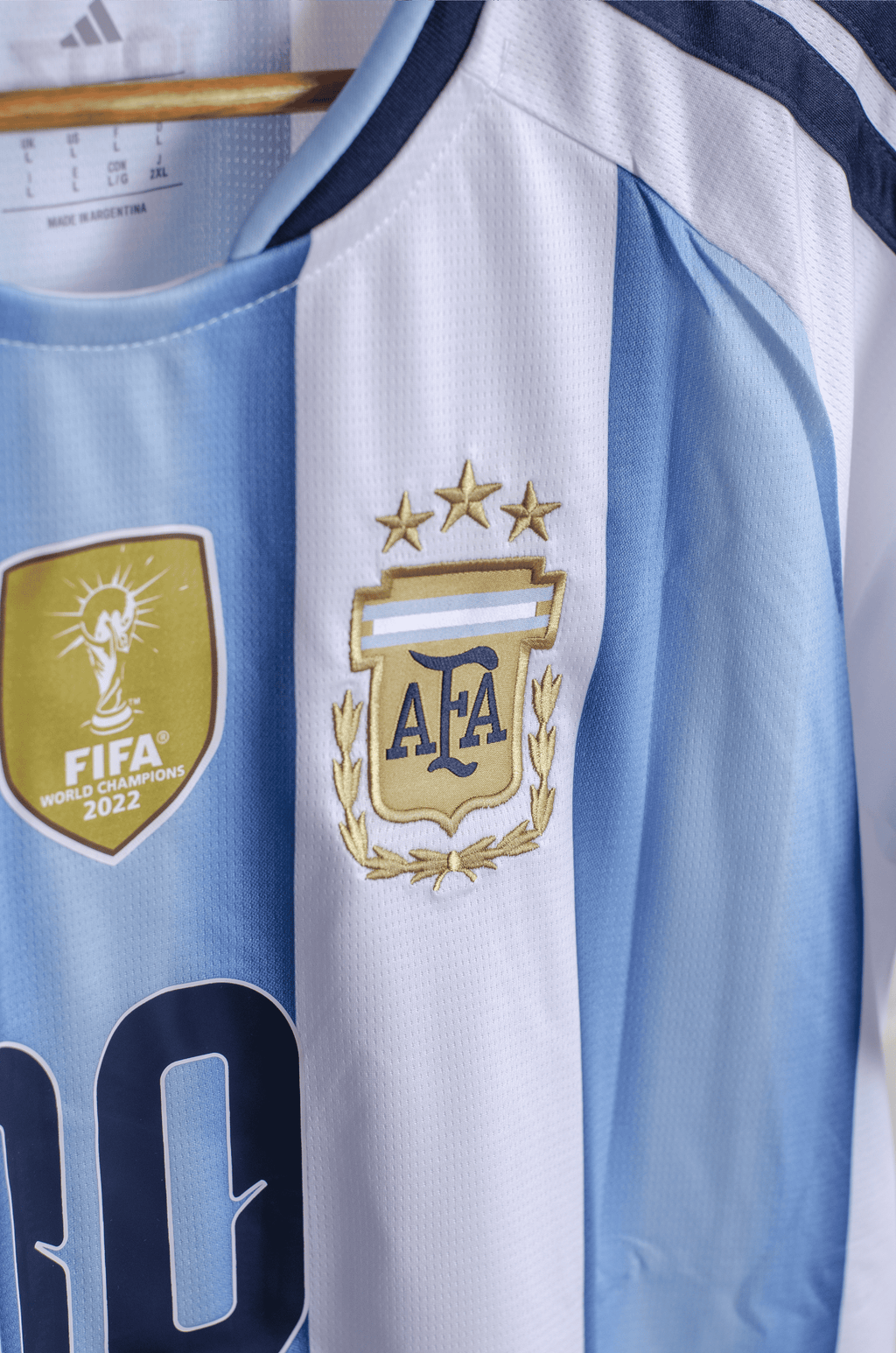 Camisa Argentina Local 2026 Versión Fan Messi 10