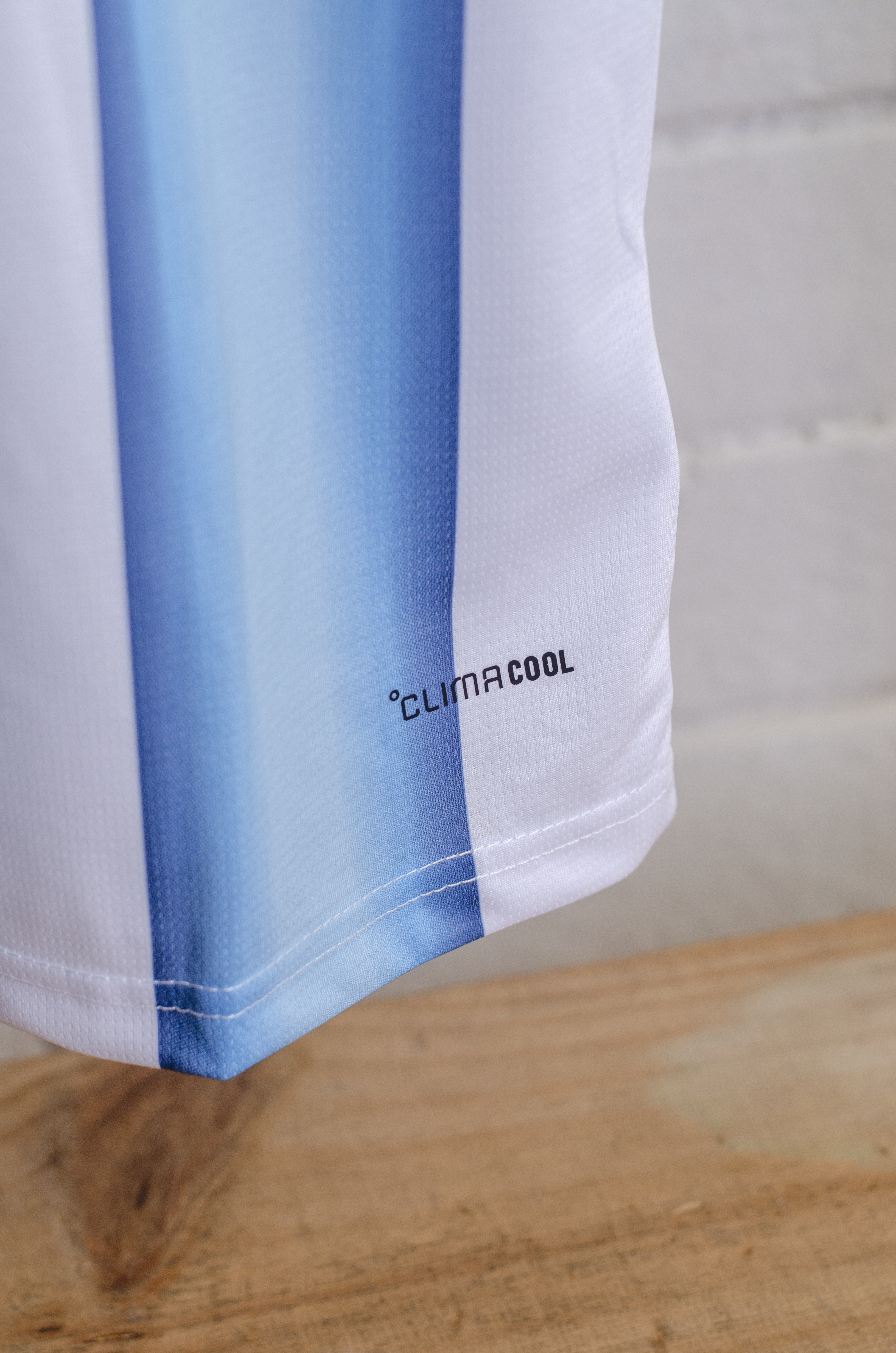Camisa Argentina Local 2026 Versión Fan Messi 10